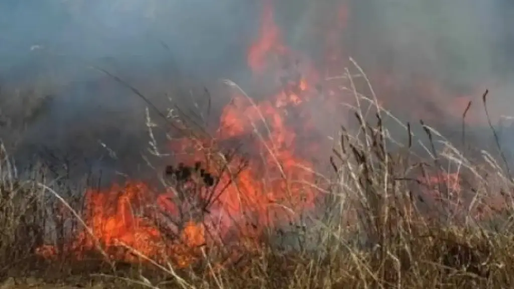 Incendio de pastizales en villa Génesis moviliza a bomberos, Contexto