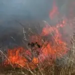 Incendio de pastizales en villa Génesis moviliza a bomberos, Contexto