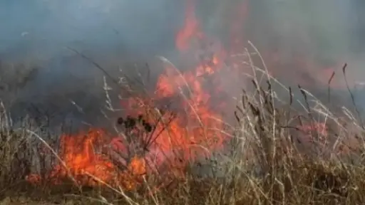 Incendio de pastizales afecta a la cancha de Ferroviarios en Los Ángeles