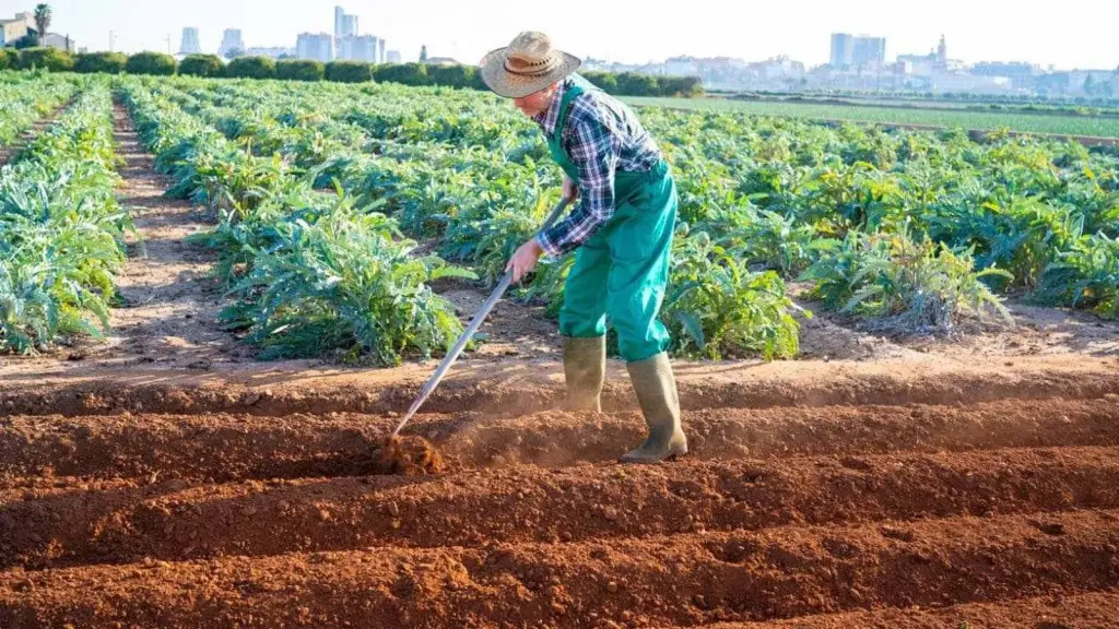 Las prácticas de gestión sostenible de las tierras, como la rotación de cultivos y cultivos de cobertura, son esenciales para restaurar la productividad agrícola.