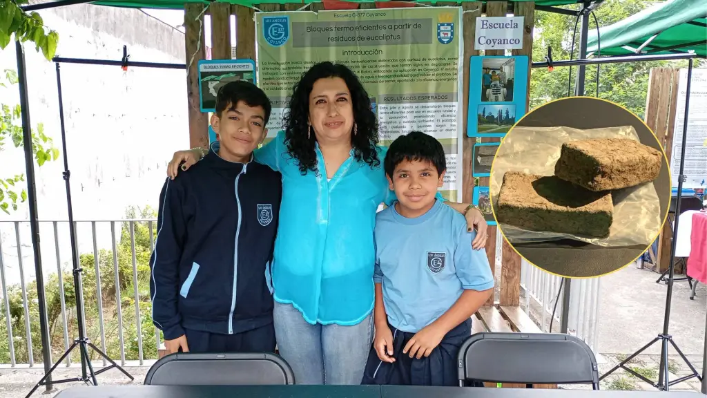 Bloques termoeficientes con residuos de eucalipto Los Ángeles