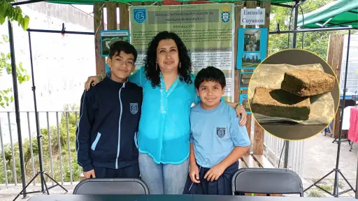 Estudiantes angelinos crean bloques termoeficientes con residuos de eucalipto para construcciones sustentables