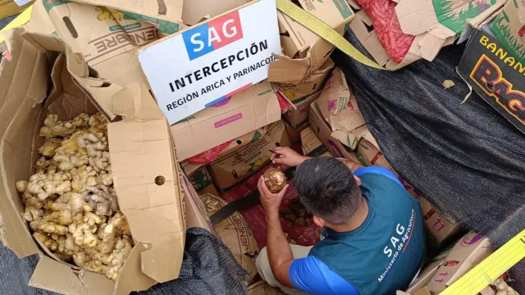 El proyecto modifica el Código Penal en materia de internación de enfermedades animales o plagas vegetales y define la internación como delito y otorga al SAG atribuciones de confiscación de carga y del móvil de transporte.