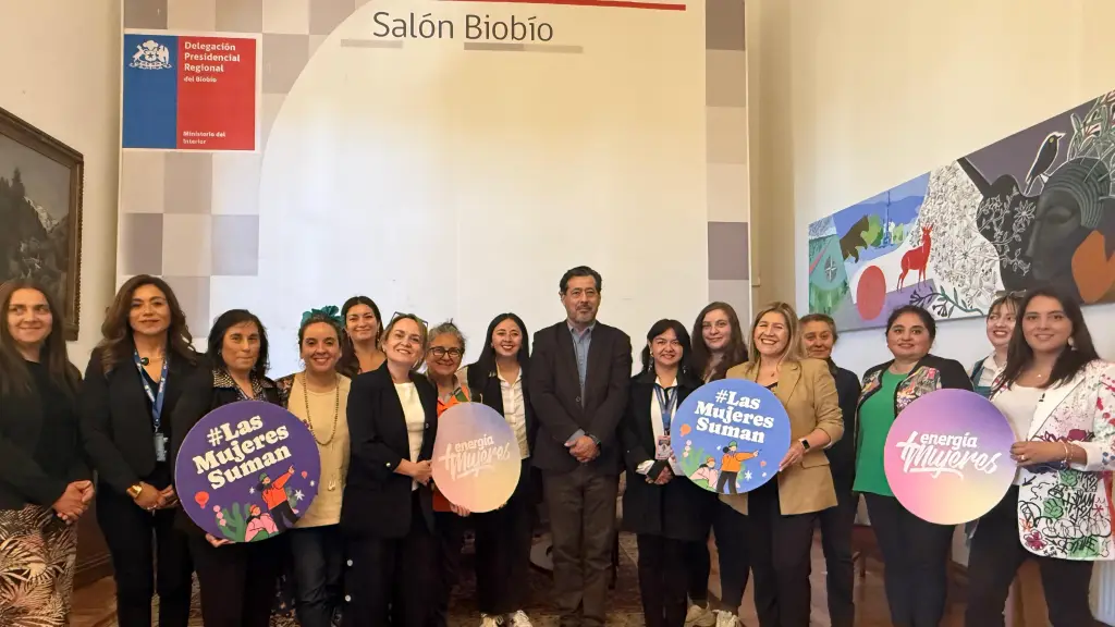 Quinta sesión de la mesa de la mujer y equidad de género Seremi de Energía, Cedida