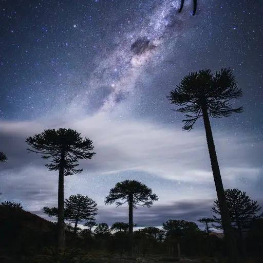 Los paseos al campo de sus abuelos y las visitas a Santa Bárbara marcaron un imaginario que aún hoy lo acompaña. / Rodrigo Friz