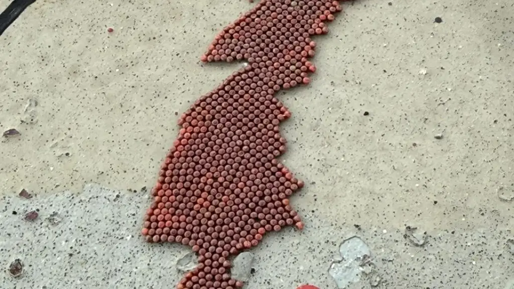 La Thyrinteina arnobia es una polilla presente en diversos países de América Central y del Sur., SAG