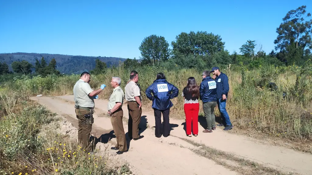 La Fiscalía del Biobío confirmó diligencias investigativas tras el hallazgo del cuerpo de un hombre en el sector Costanera