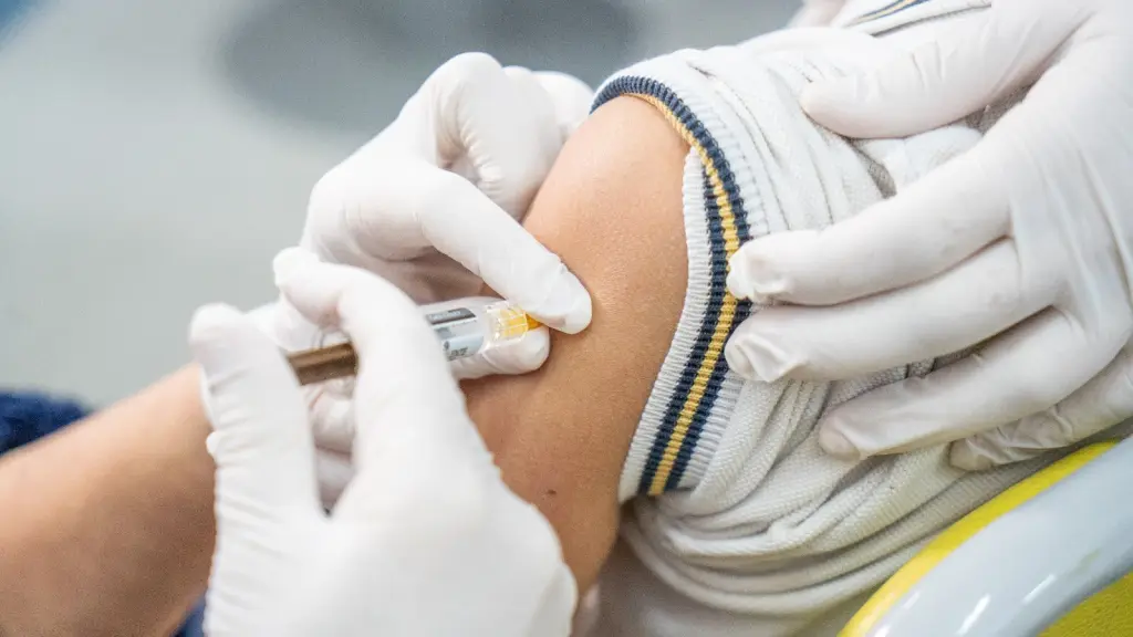 Campaña de vacunación escolar en el Biobío, Seremi de Salud Biobío