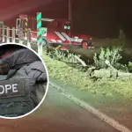 GOPE acude a Quilaco y se suma a la búsqueda de hombre desaparecido tras accidente de tránsito, Diario La Tribuna