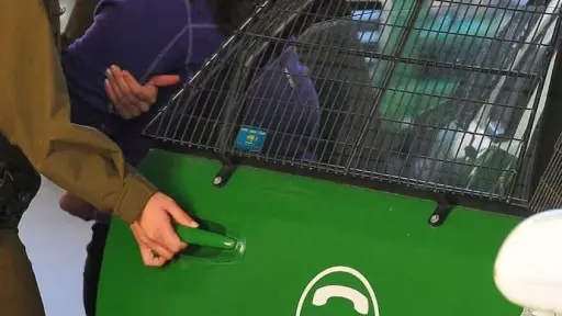 Justicia ordena arresto domiciliario para mujer que indujo aborto a su hija de 16 años