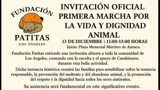 Los Ángeles celebra su primera marcha por la vida animal