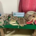 Parte de las especies recuperadas por la SIP de Yumbel, Cedida