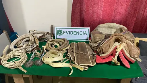 Detienen a dos personas por receptación en Yumbel: especies habrían sido robadas en Tomeco