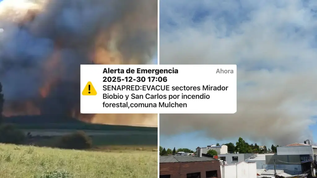 AHORA: Incendio Forestal , La Tribuna