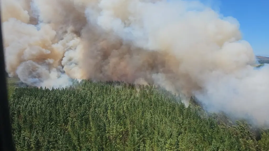 Incendio forestal Licura en Mulchén, Cedida