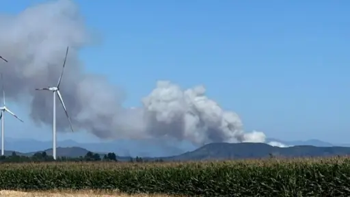 Incendio forestal en Licura consume 140 hectáreas en Mulchén y se mantiene en combate: existen daños menores en una vivienda