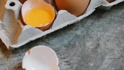 Producción de huevos en Chile alcanza cifra récord y proyecta un crecimiento sostenido para 2026