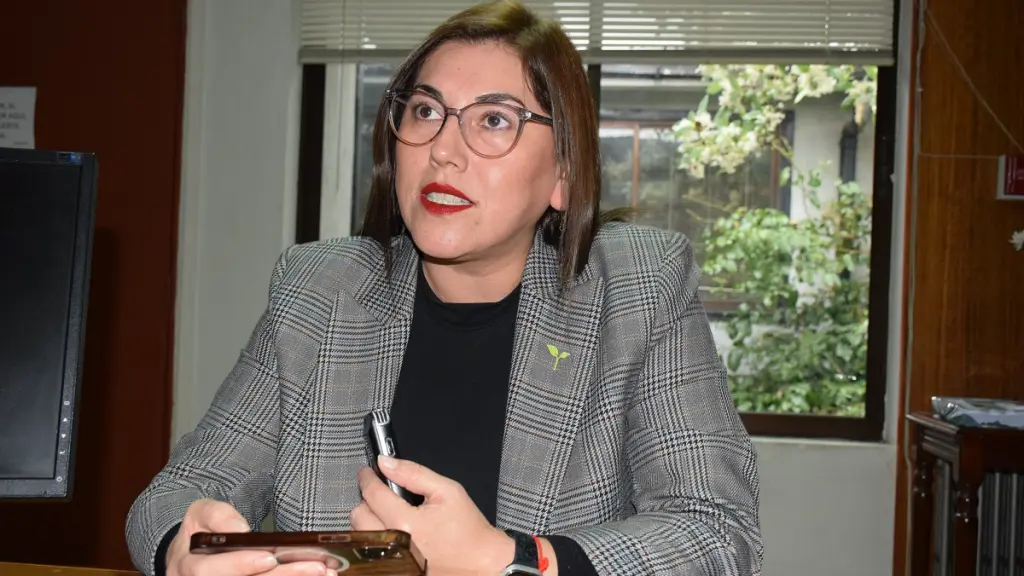 La seremi de Gobierno del Biobío, Jacqueline Cárdenas Millar, aseguró que gobernarán hasta el último día y efectuarán un proceso de traspaso “impecable. , Fredy Muñoz | La Tribuna