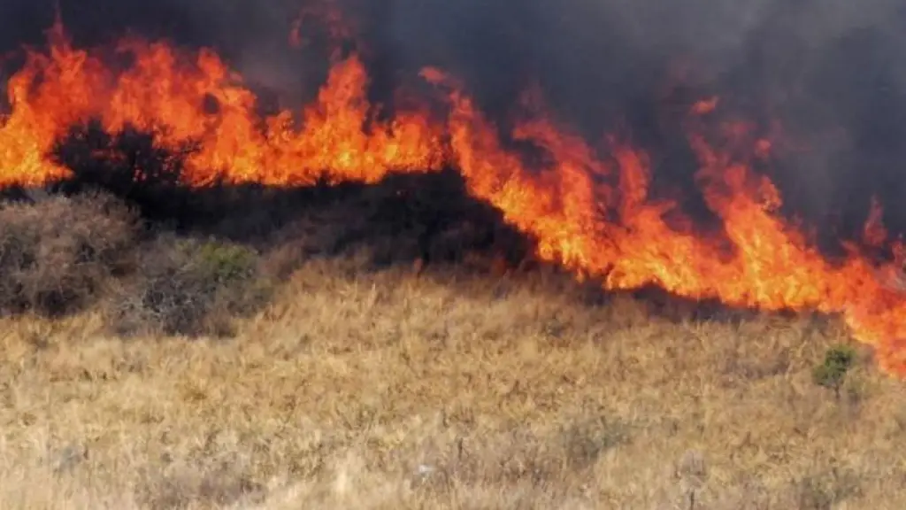 Incendio de pastizales marcaron jornada de navidad en Los Ángeles, La Tribuna