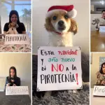 Los Ángeles en contra de la pirotecnia 