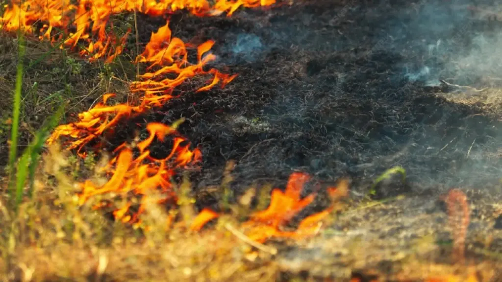 Incendio pastizales sector Rarinco Los Ángeles, referencial