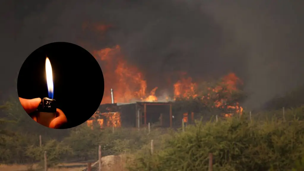 Incendio por encendedor, Emol 