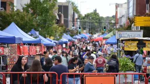 Plan Navidad Segura: amplio despliegue deja 688 controles y 32 infracciones en Los Ángeles