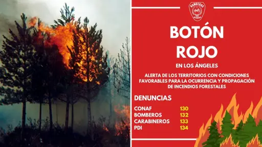 Los Ángeles en Botón Rojo por alto riesgo de incendios forestales