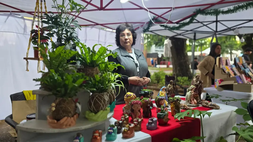 Feria Navideña  | Diario La Tribuna