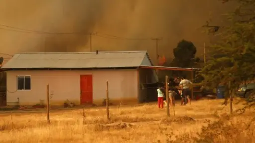 No dan tregua: se mantiene alerta roja por incendios forestales en el Maule