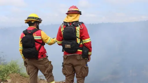 Ataque a brigada forestal en Curanilahue: incidentes sin heridos