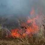 Quema de pastizales altos y bajos movilizó a bomberos de Los Ángeles, Contexto