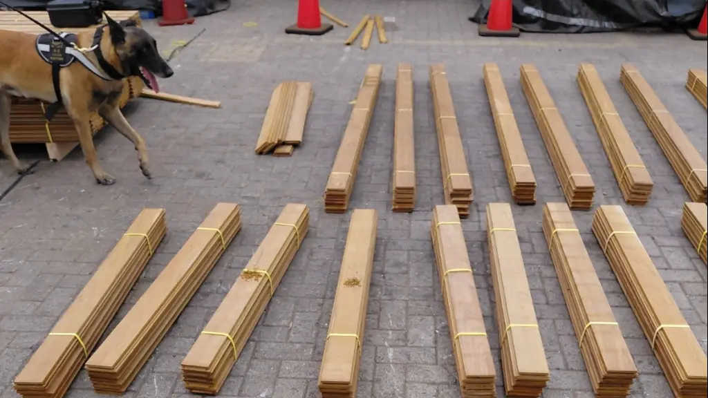 La droga era transportada en una carga de madera proveniente de Bolivia, la que tenía como destino España., Cedida