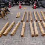 La droga era transportada en una carga de madera proveniente de Bolivia, la que tenía como destino España., Cedida