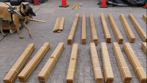 Incautan más de 700 kilos de clorhidrato de cocaína impregnada en madera en el puerto de Arica