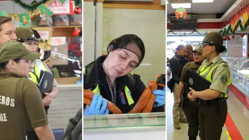 Refuerzan fiscalizaciones por Navidad en la provincia de Biobío