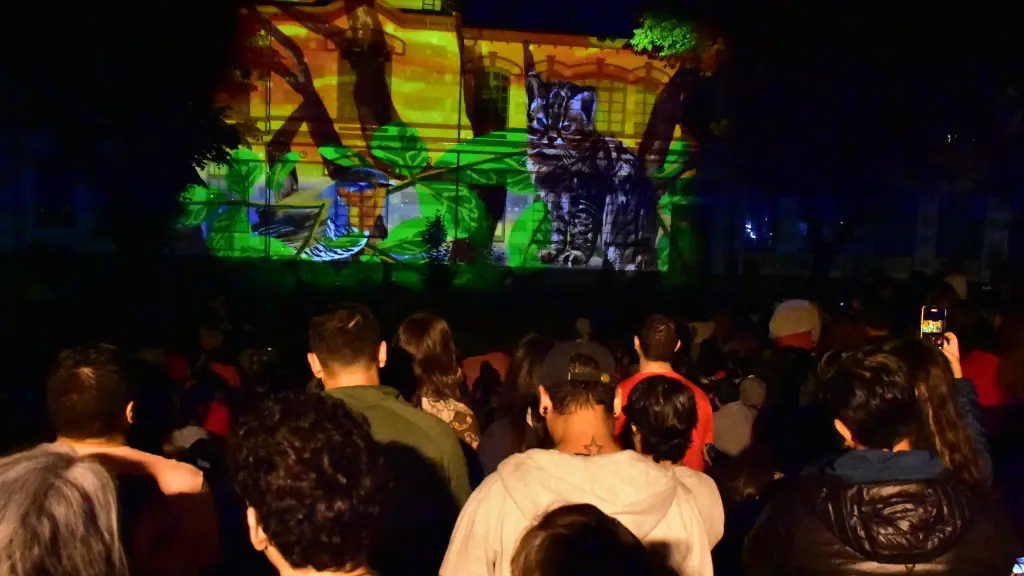 Mapping 3 | Diario La Tribuna