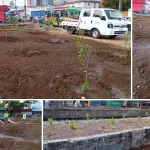 Paisajismo en Los Ángeles