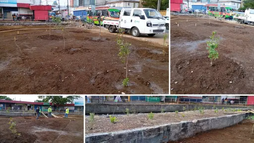 Inician trabajos de paisajismo en paño municipal del centro de Los Ángeles