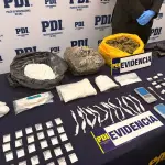 Especies incautadas por la PDI, PDI Araucanía