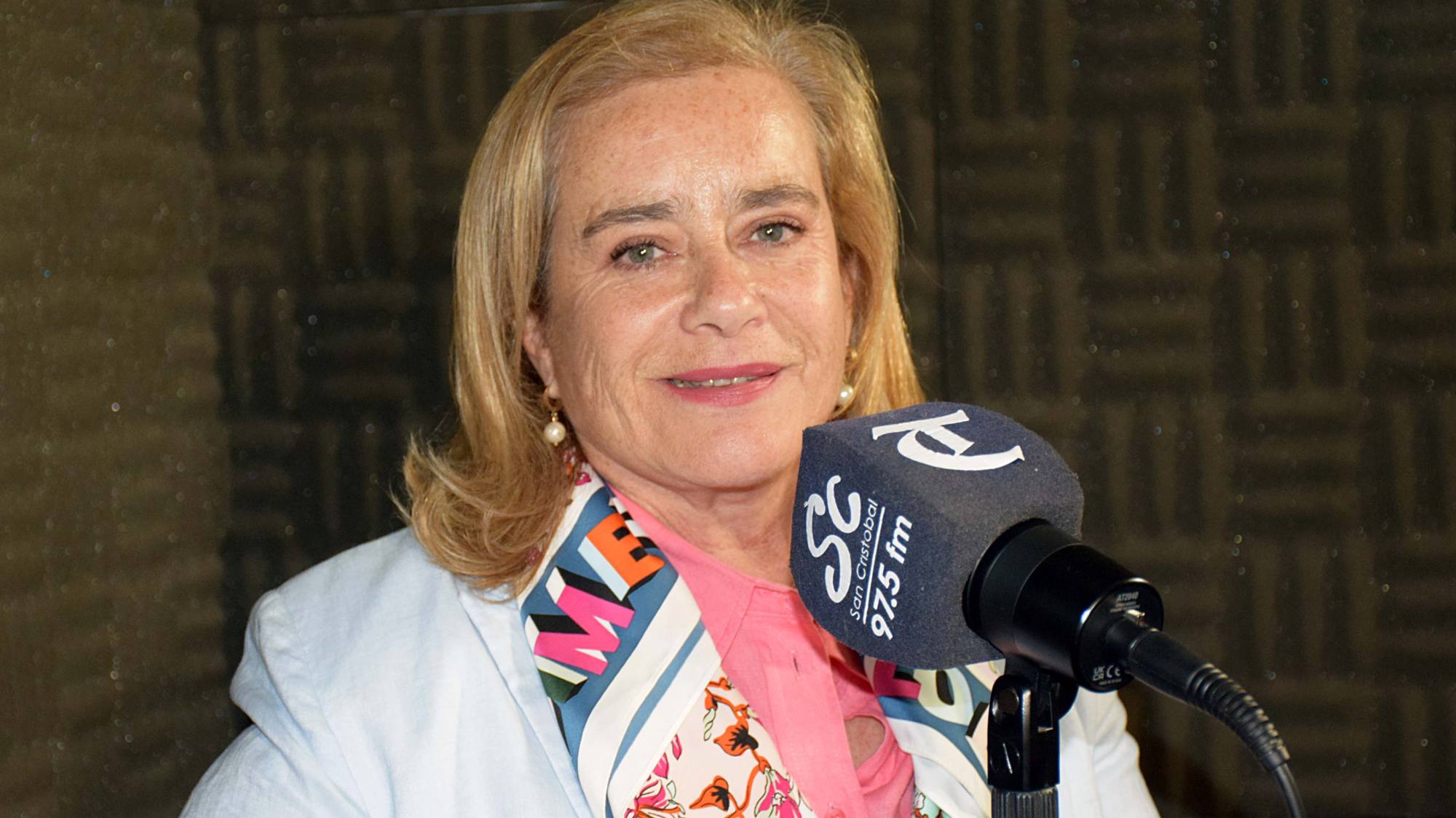 ¿Qué fue del Plan Calle Sin Violencia?
