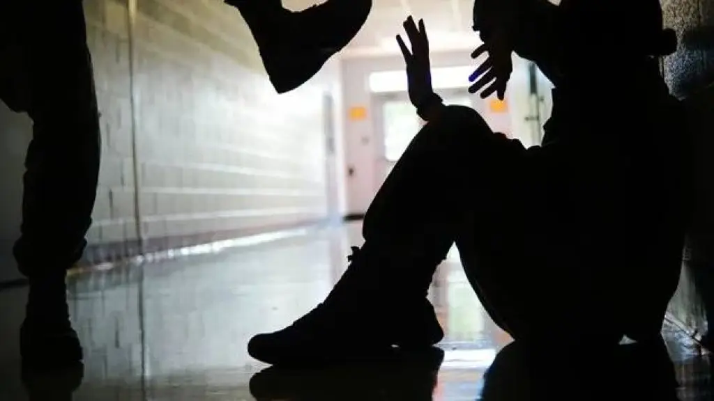 Casi mil denuncias por maltrato y acoso escolar en la región: alertan que la situación sería estructural, La Tribuna