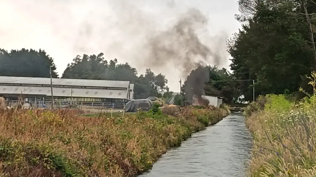 Reportan principio de incendio en fundo agrícola de San Carlos de Purén , La Tribuna