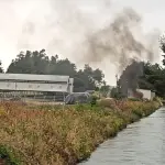 Reportan principio de incendio en fundo agrícola de San Carlos de Purén , La Tribuna