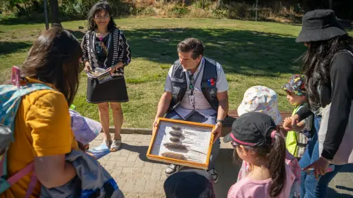 Picnic, camping y excursiones: refuerzan recomendaciones para evitar contagio por Hantavirus