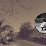 Llay-Llay: Niño de 6 años fallece tras ser atropellado en la Ruta 5 Norte, Imagen de contexto