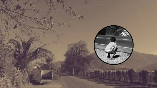 Llay-Llay: Niño de 6 años fallece tras ser atropellado en la Ruta 5 Norte