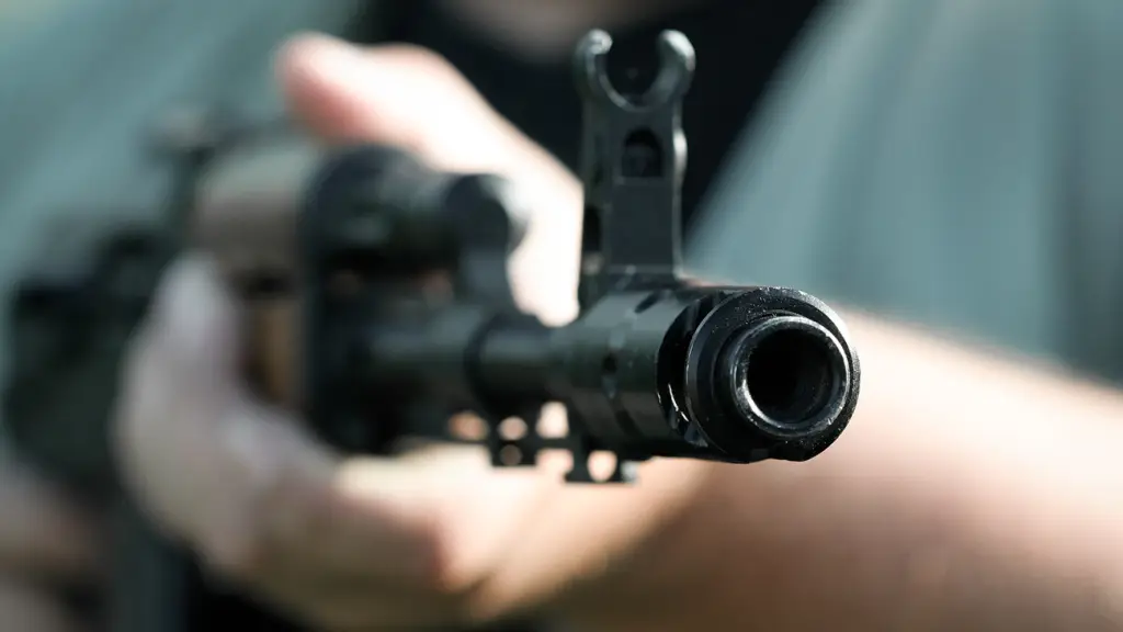 Les vuelo la cabeza: Hombre amenazó a carabineros con un rifle en Nacimiento, Diario La Tribuna