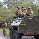 Gremios forestales en desacuerdo que haya una desescalada del Estado de Excepción para la macvrozona sur, referencial