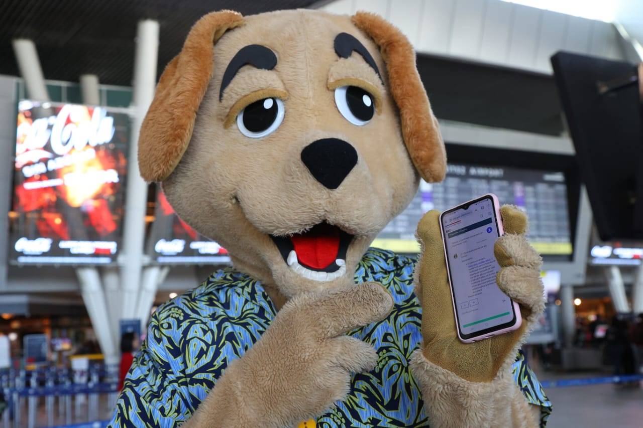 El trámite puede realizarse a través de las plataformas digitales y oficinas del SAG en la región. / www.gob.cl